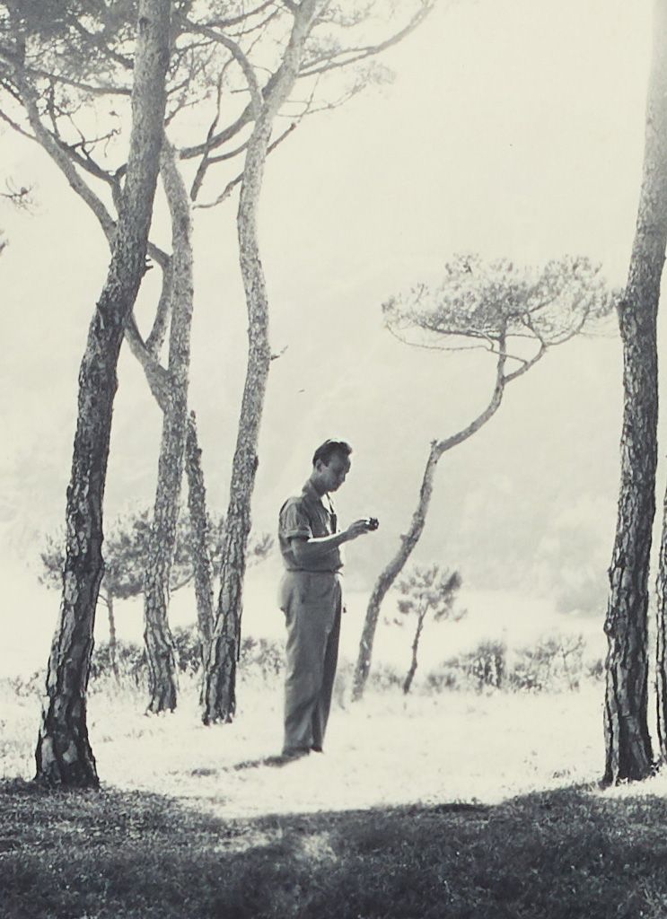 Lecture au bois de pins