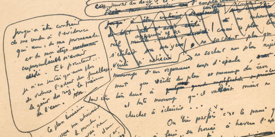 L’Année a perdu son printemps ou une métamorphose d’Edgar Morin
